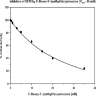 SET8 Methyltransferase Inhibitor Screening Assay Kit