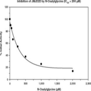 JMJD2D Inhibitor Screening Assay Kit