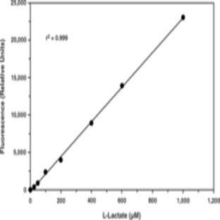 L-Lactate Assay Kit