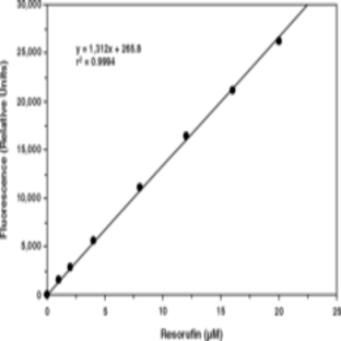 Phospholipase D Assay Kit