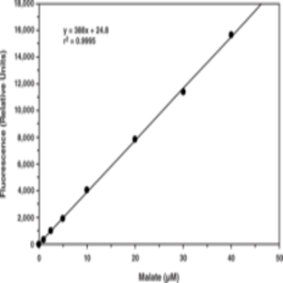 Malate Fluorometric Assay Kit