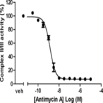 MitoCheck Complex II/III Activity Assay Kit