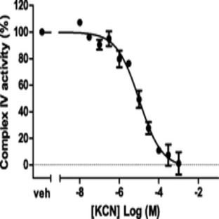 MitoCheck Complex IV Activity Assay Kit