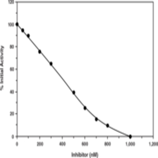 Renin Inhibitor Screening Assay Kit