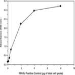 PPAR(gamma) Transcription Factor Assay Kit