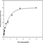 ChREBP Transcription Factor Assay Kit