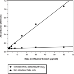 HIF-1(alpha) Transcription Factor Assay Kit