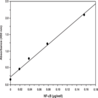 NF-kB (human p50) Transcription Factor Assay Kit