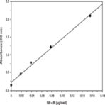 NF-kB (human p50) Transcription Factor Assay Kit