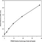 PPAR(delta) Transcription Factor Assay Kit