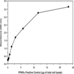 PPAR(alpha) Transcription Factor Assay Kit