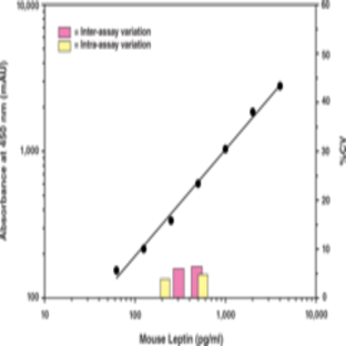 Leptin (mouse/rat) EIA Kit