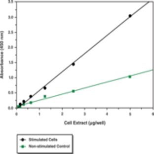 NF-kB (p65) Transcription Factor Assay Kit