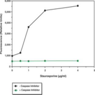 Caspase-3 Fluorescence Assay Kit