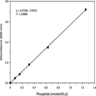 Malachite Green Phosphate Assay Kit