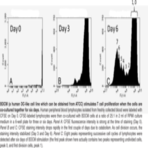 CFSE Cell Division Assay Kit