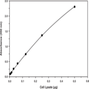 SREBP-1 Transcription Factor Assay Kit