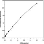 SREBP-1 Transcription Factor Assay Kit