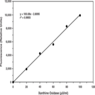 Xanthine Oxidase Fluorometric Assay Kit