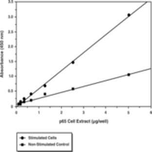 NF-kB (human p50/p65) Combo Transcription Factor Assay Kit