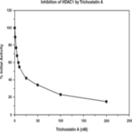 HDAC1 Inhibitor Screening Assay Kit