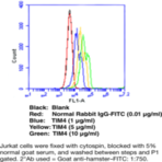 TIM4 Monoclonal Antibody