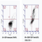 CD25 Monoclonal PE Antibody (Clone 143-13)