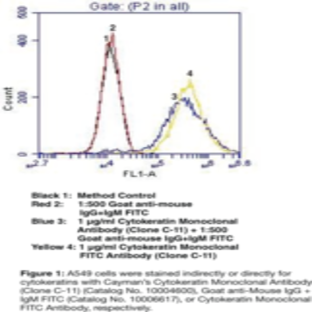 Cytokeratin Monoclonal FITC Antibody (Clone C-11)