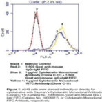 Cytokeratin Monoclonal FITC Antibody (Clone C-11)