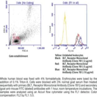 BLT1 Receptor Monoclonal Antibody (Clone 7B1)