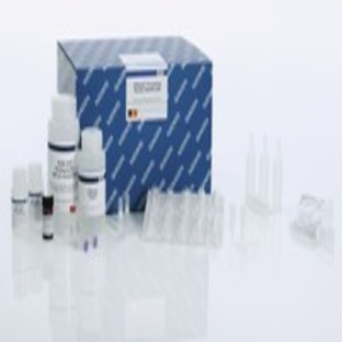 QIAamp Circulating Nucleic Acid Kit (50), 55114 from QIAGEN | Biosave