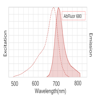 Anti-?-Actin Mouse Monoclonal Antibody (1C7) , AbFluor™ 680 Conjugated