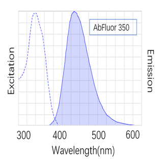 Anti-GAPDH Mouse Monoclonal Antibody (2B5) , AbFluor™ 350 Conjugated