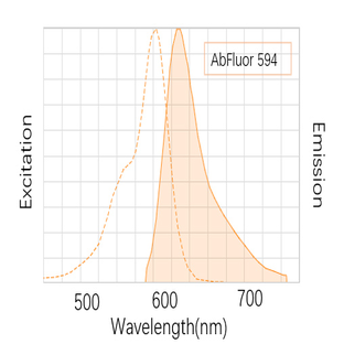 Anti-GAPDH Mouse Monoclonal Antibody (2B5) , AbFluor™ 594 Conjugated