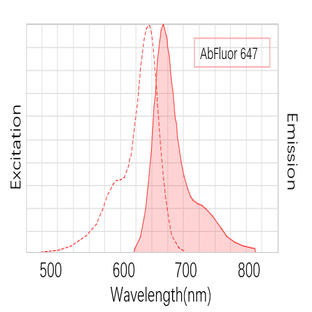 Anti-GAPDH Mouse Monoclonal Antibody (2B5) , AbFluor™ 647 Conjugated