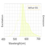 Anti-?-Tubulin Monoclonal Antibody (3G5) , AbFluor™ 555 Conjugated