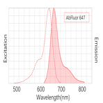 Anti-?-Tubulin Monoclonal Antibody (3G5) , AbFluor™ 647 Conjugated