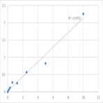 Human Wilms tumor protein (WT1) ELISA Kit