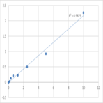 Human Proto-oncogene Wnt-1 (WNT1) ELISA Kit