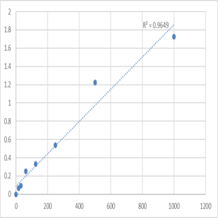 Human Vascular Endothelial cell Growth Factor C (VEGF-C) ELISA Kit