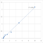 Human SUMO-conjugating enzyme UBC9 (UBE2I/UBC9/UBCE9) ELISA Kit