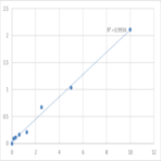 Human Transcription termination factor 1 (TTF1) ELISA Kit