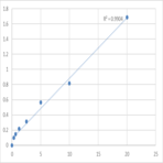 Human Sequestosome-1 (SQSTM1) ELISA Kit