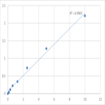 Human Synapsin-1 (SYN1) ELISA Kit