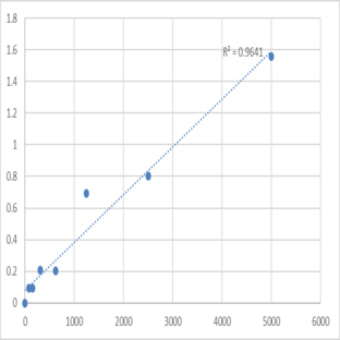 Human Synaptopodin (SYNPO) ELISA Kit