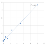 Human Slit homolog 3 protein (SLIT3) ELISA Kit