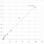 Human RAC-gamma serine/threonine-protein kinase (AKT3) ELISA Kit