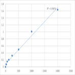 Human S100 calcium binding protein A12/Calgranulin-C (S100A12) ELISA Kit