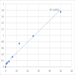 Human Advanced glycation end products (AGEs) ELISA Kit