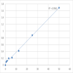 Human Arginyl-tRNA Synthetase (RARS) ELISA Kit